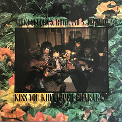 Nikki Sudden / Rowland S. Howard Kiss You Kidnapped Charabanc Vinyl LP USED