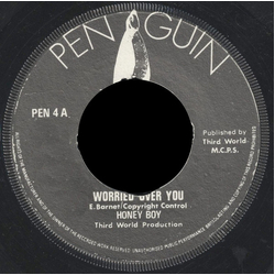 Honey Boy Worried Over You Vinyl 7" USED
