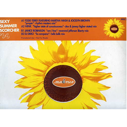 Various Sexy Summer Scorcher '96 Vinyl 12" USED