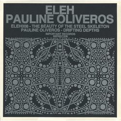 Eleh / Pauline Oliveros The Beauty Of The Steel Skeleton / Drifting Depths Vinyl LP USED