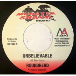 Round Head / Terror Fabulous Unbelievable / Gangsta Girl Vinyl 7" USED
