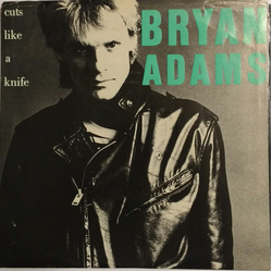 Bryan Adams Cuts Like A Knife Vinyl 7" USED