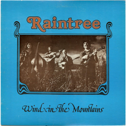 Raintree Wind In The Mountains Vinyl LP USED