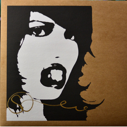 Carina Round The Disconnection Vinyl LP USED