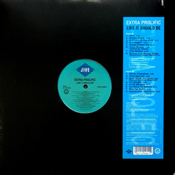 Extra Prolific Like It Should Be Vinyl LP USED