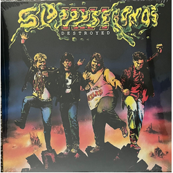 Sloppy Seconds Destroyed Vinyl LP USED