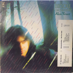 Biddu Orchestra Rain Forest Vinyl LP USED