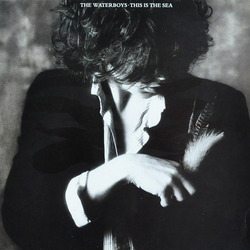 The Waterboys This Is The Sea Vinyl LP USED