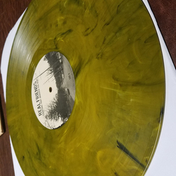 Real Friends Everyone That Dragged You Here Vinyl 12" USED
