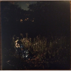 The Weather Station Ignorance Vinyl LP USED