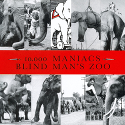10,000 Maniacs Blind Man's Zoo Vinyl LP USED