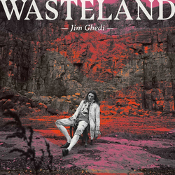 Jim Ghedi Wasteland Vinyl LP USED