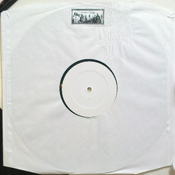 Earth Gang Untitled Vinyl 12" USED