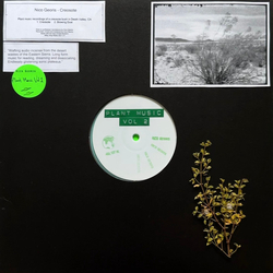 Nico Georis Plant Music Vol. 2 - Creosote Vinyl LP USED