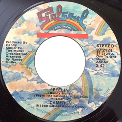Rafael Cameron Feelin' Vinyl 7" USED