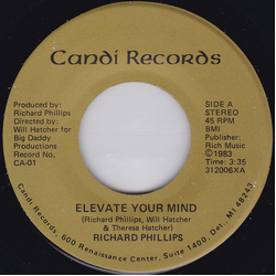 Richard Phillips (4) Elevate Your Mind Vinyl 7" USED