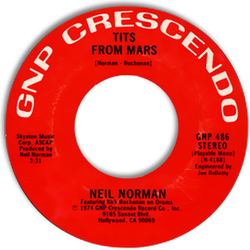 Neil Norman Wild Boys Vinyl 7" USED