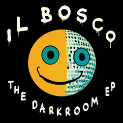 Il Bosco The Dark Room EP Vinyl 12" USED