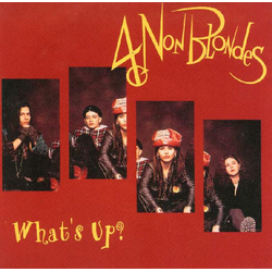 4 Non Blondes What's Up? Vinyl 7" USED