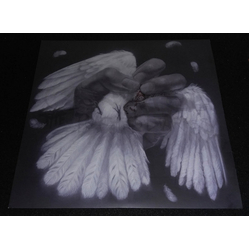 Converge The Poacher Diaries Vinyl 12" USED