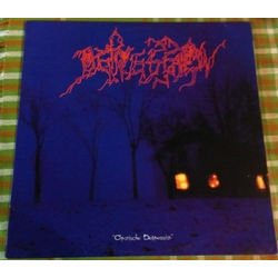 Depression Chronische Depression Vinyl LP USED