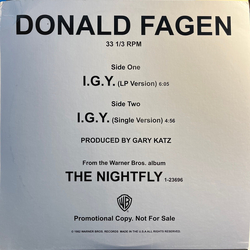 Donald Fagen I.G.Y. (What A Beautiful World) Vinyl 12" USED