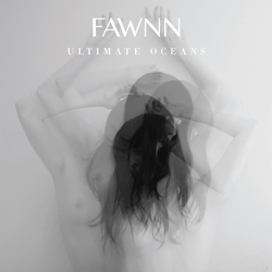 Fawnn Ultimate Oceans Vinyl LP USED