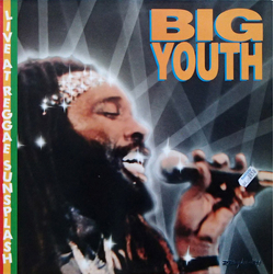 Big Youth Live At Reggae Sunsplash Vinyl LP USED
