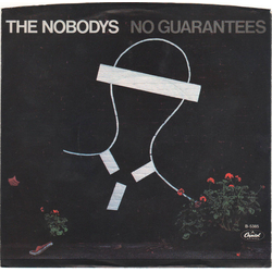 The Nobodys No Guarantees Vinyl 7" USED