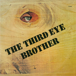 The Third Eye (2) Brother Vinyl LP USED