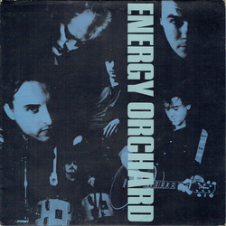 Energy Orchard Energy Orchard Vinyl LP USED