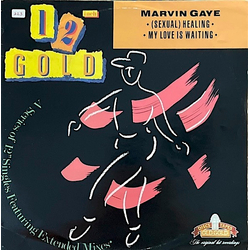 Marvin Gaye (Sexual) Healing / My Love Is Waiting Vinyl 12" USED