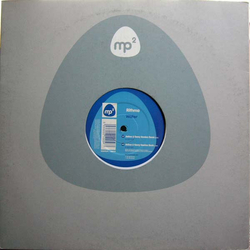Rithma Water Vinyl 12" USED