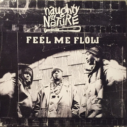 Naughty By Nature Feel Me Flow Vinyl 12" USED