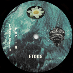 Eusebeia Purity Vinyl 12" USED