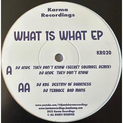 Various What Is What EP Vinyl 12" USED