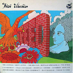 Various First Vibration Vinyl LP USED
