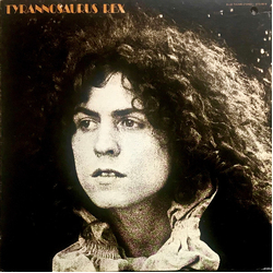 Tyrannosaurus Rex A Beard Of Stars Multi Vinyl LP/Vinyl 7" USED