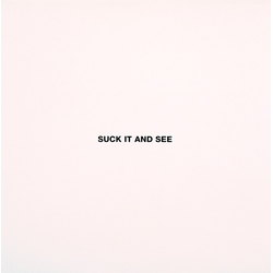 Arctic Monkeys Suck It And See Vinyl LP USED