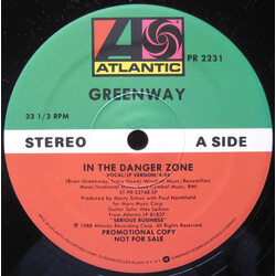 Brian Greenway In The Danger Zone Vinyl 12" USED
