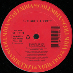 Gregory Abbott Shake You Down Vinyl 12" USED