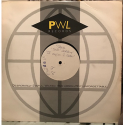 Paul Varney If Only I Knew (The Steve Silk Hurley Remixes) Vinyl 12" USED