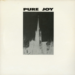 Pure Joy (2) Pure Joy Vinyl 12" USED