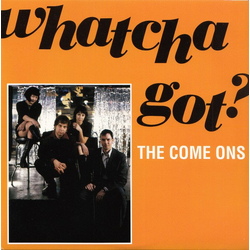 The Come Ons Whatcha Got? Vinyl 7" USED