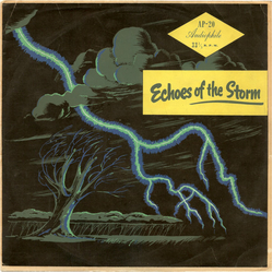 No Artist Echoes Of The Storm Vinyl LP USED