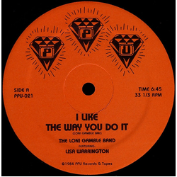 The Loni Gamble Band / Lisa Warrington I Like The Way You Do It Vinyl 12" USED