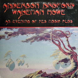 Anderson Bruford Wakeman Howe An Evening Of Yes Music Plus Laserdisc USED