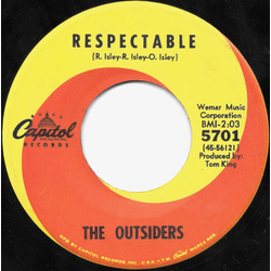 The Outsiders (4) Respectable / Lost In My World Vinyl 7" USED