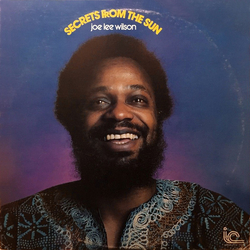 Joe Lee Wilson Secrets From The Sun Vinyl LP USED