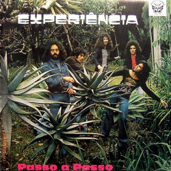 Experiência Passo A Passo Vinyl LP USED